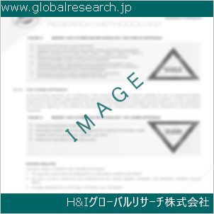 グローバルリサーチ調査資料のイメージ